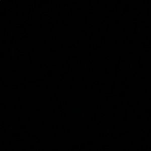 Meet your Posher, Corina